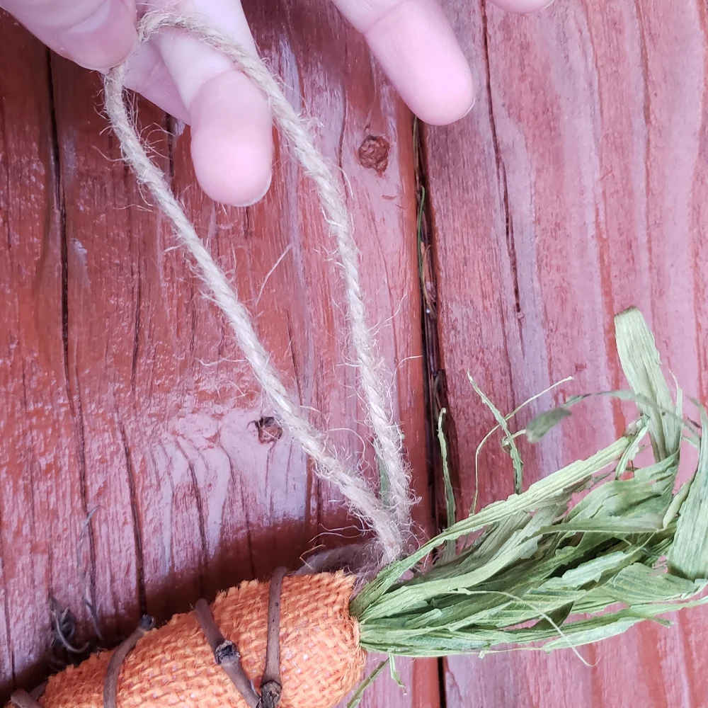 Source Unknown carrot garland